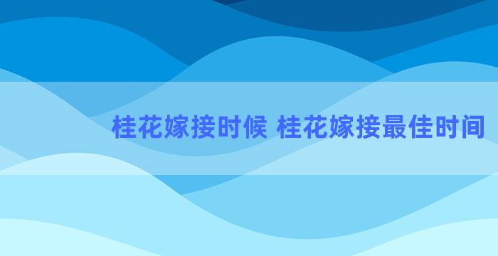 桂花嫁接时候 桂花嫁接最佳时间